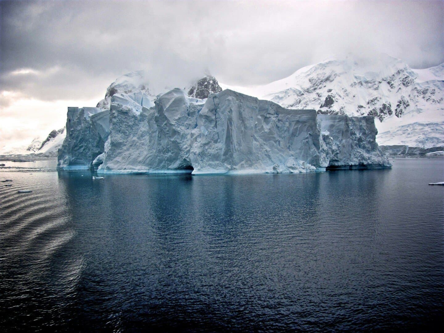 Guaraná Antarctica, image 1 of 1