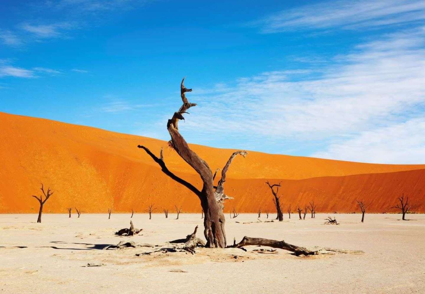 Namib Desert, image 1 of 1
