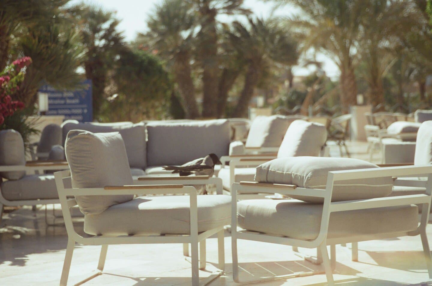 Isabel Lounge, image 1 of 1