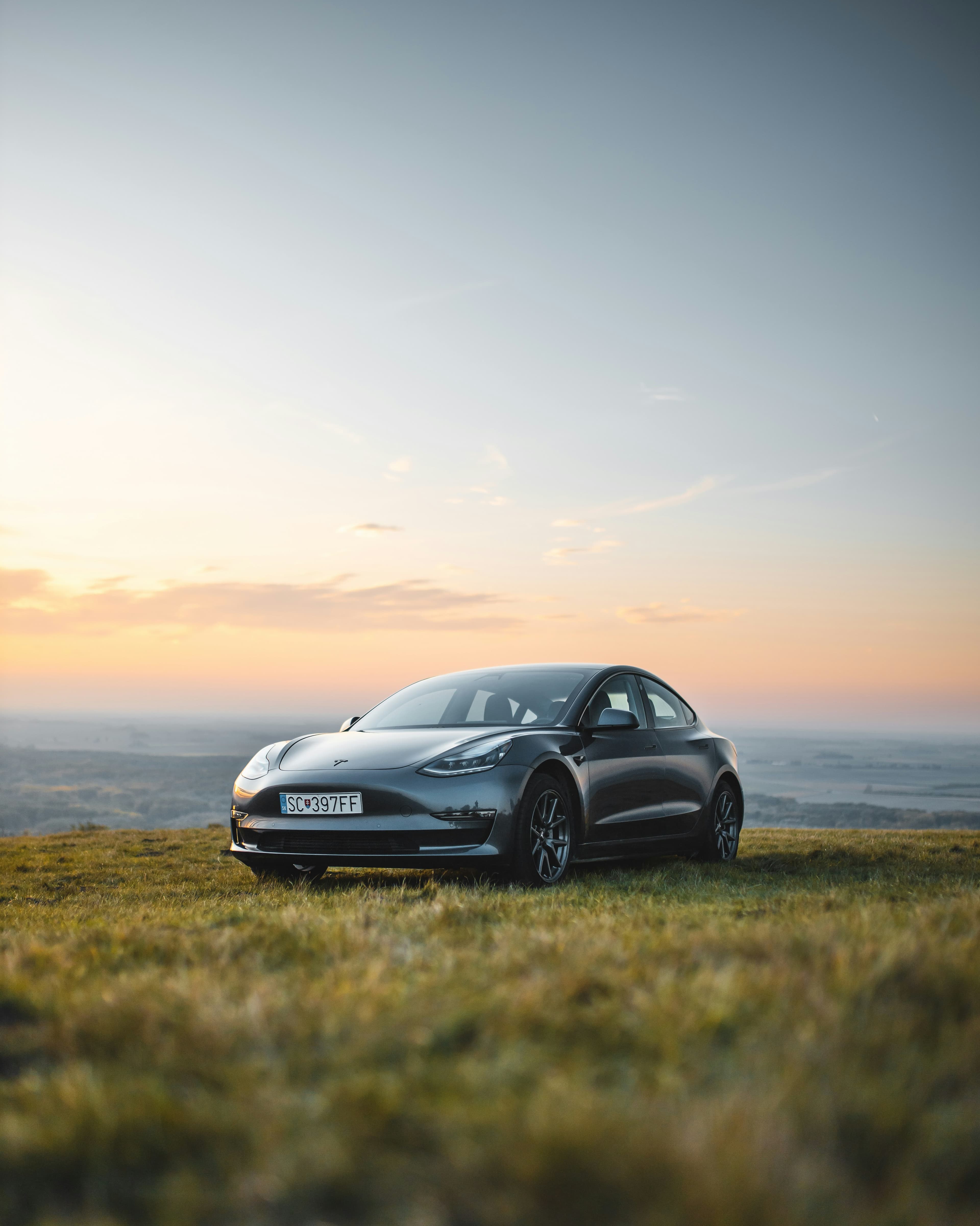 Tesla, image 1 of 1