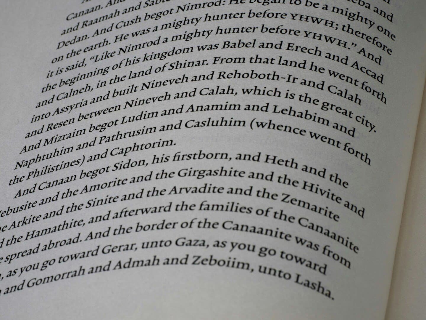 The Rhetoric of History by Hayden White essay, image 1 of 1