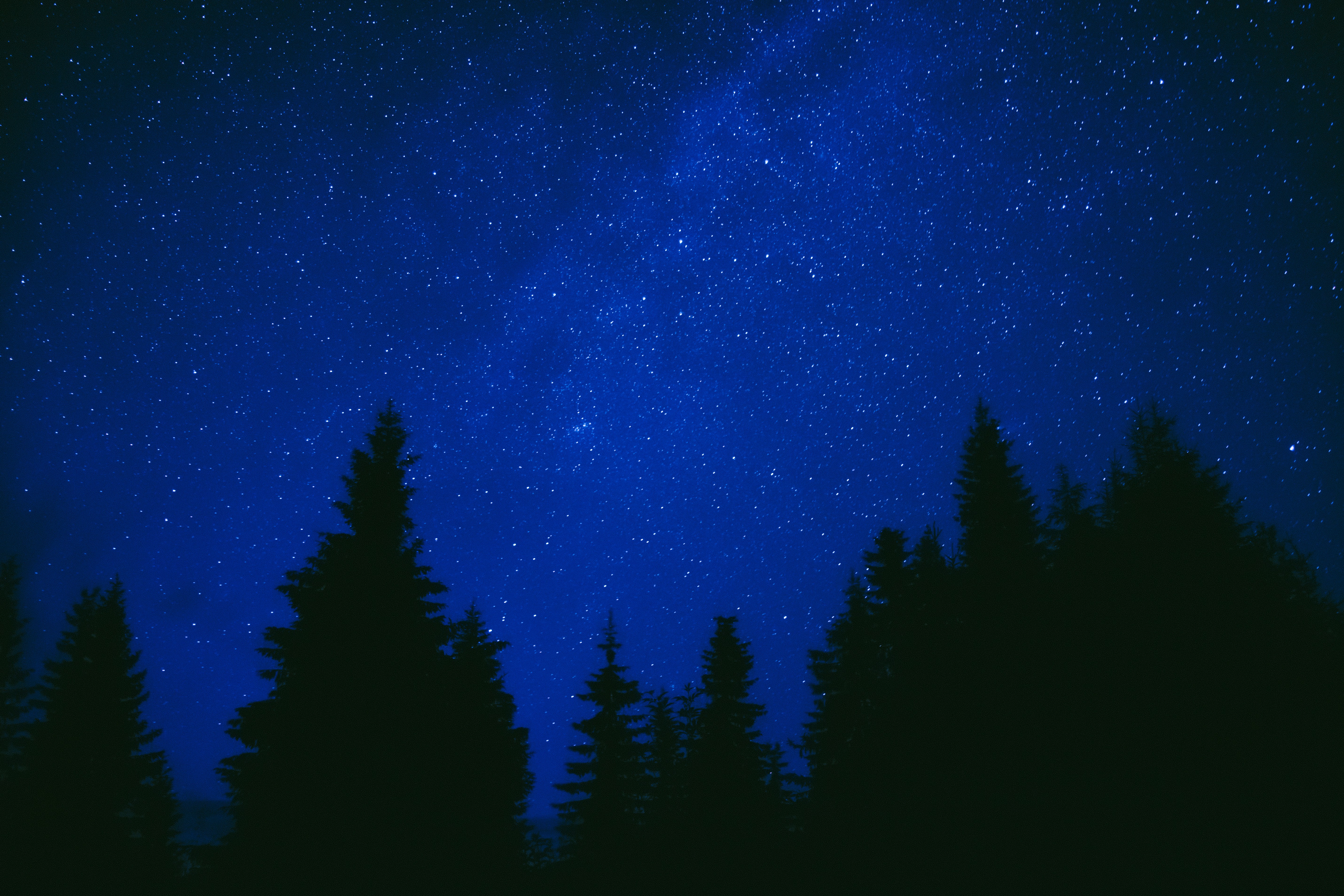 Galaxy Lights – Dorchester Brewing Company, image 1 of 1