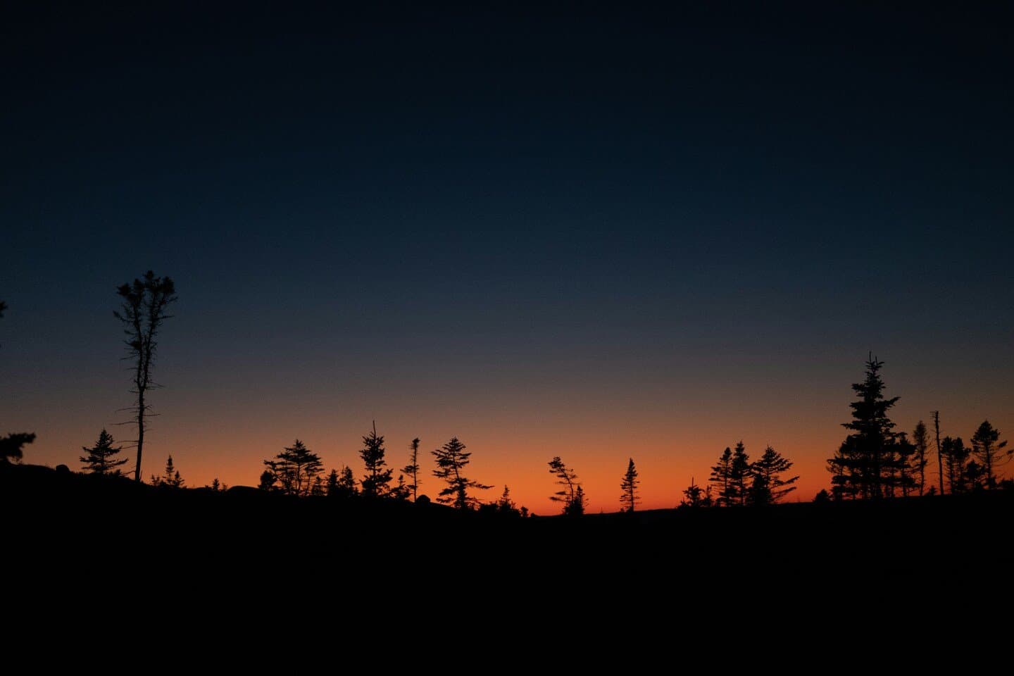 Wild Side West, image 1 of 1