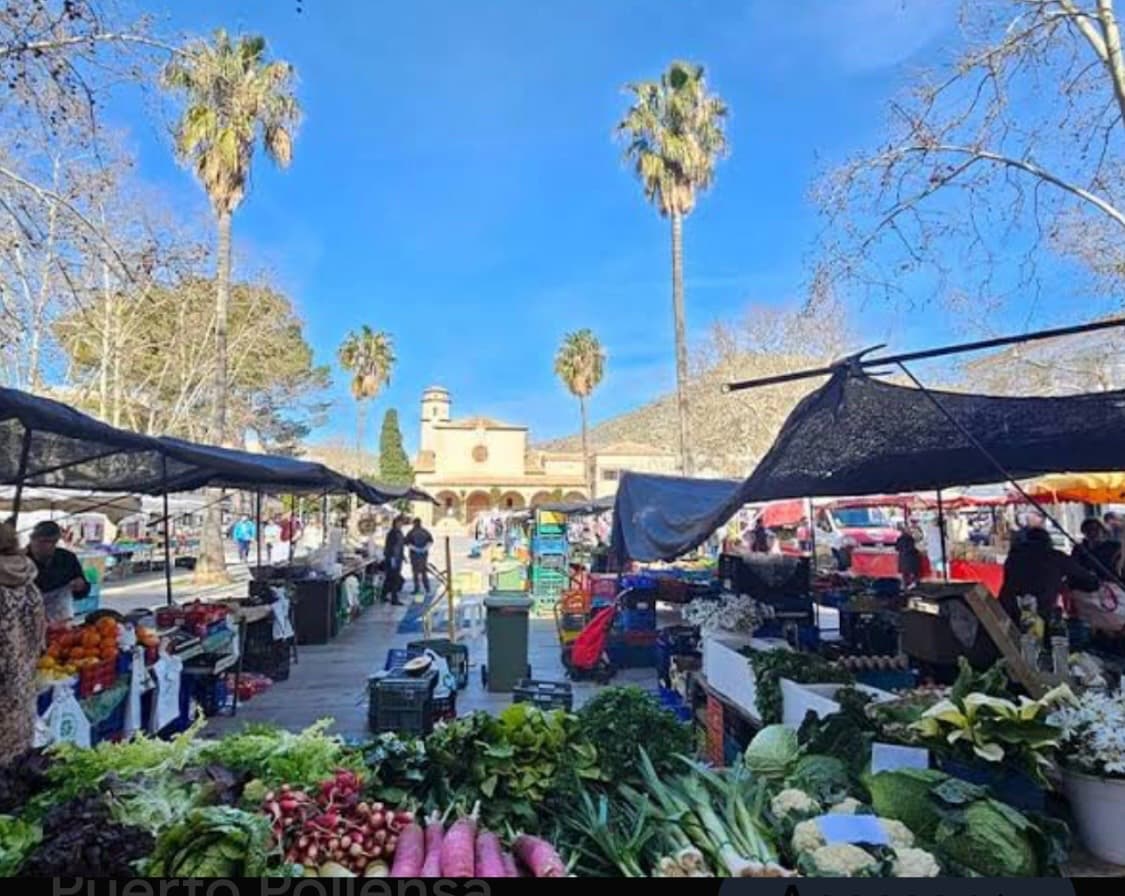 Mercado Pollensa, image 1 of 1