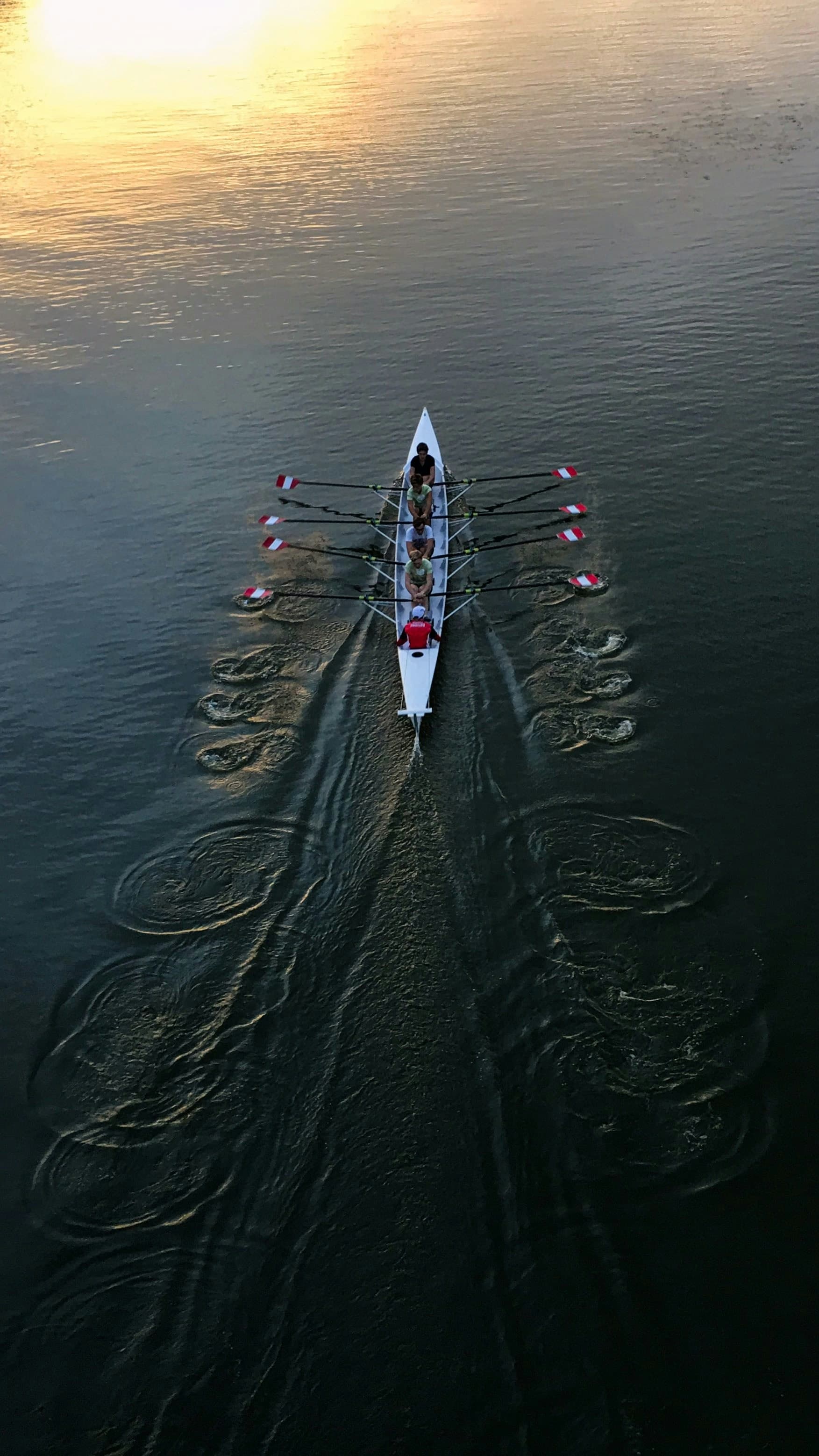 Head of the Charles Regatta course, image 1 of 1