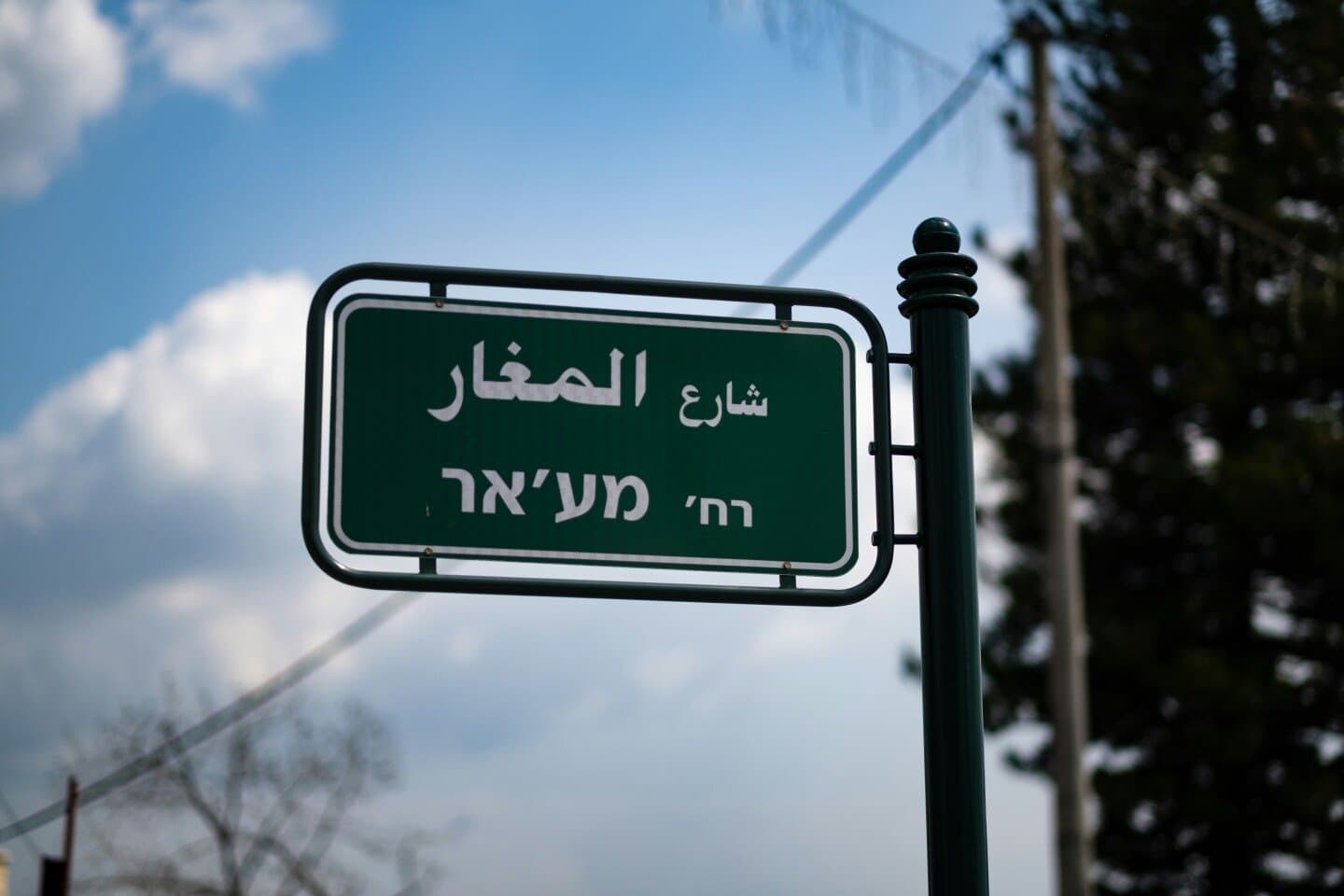 שילה, image 1 of 1