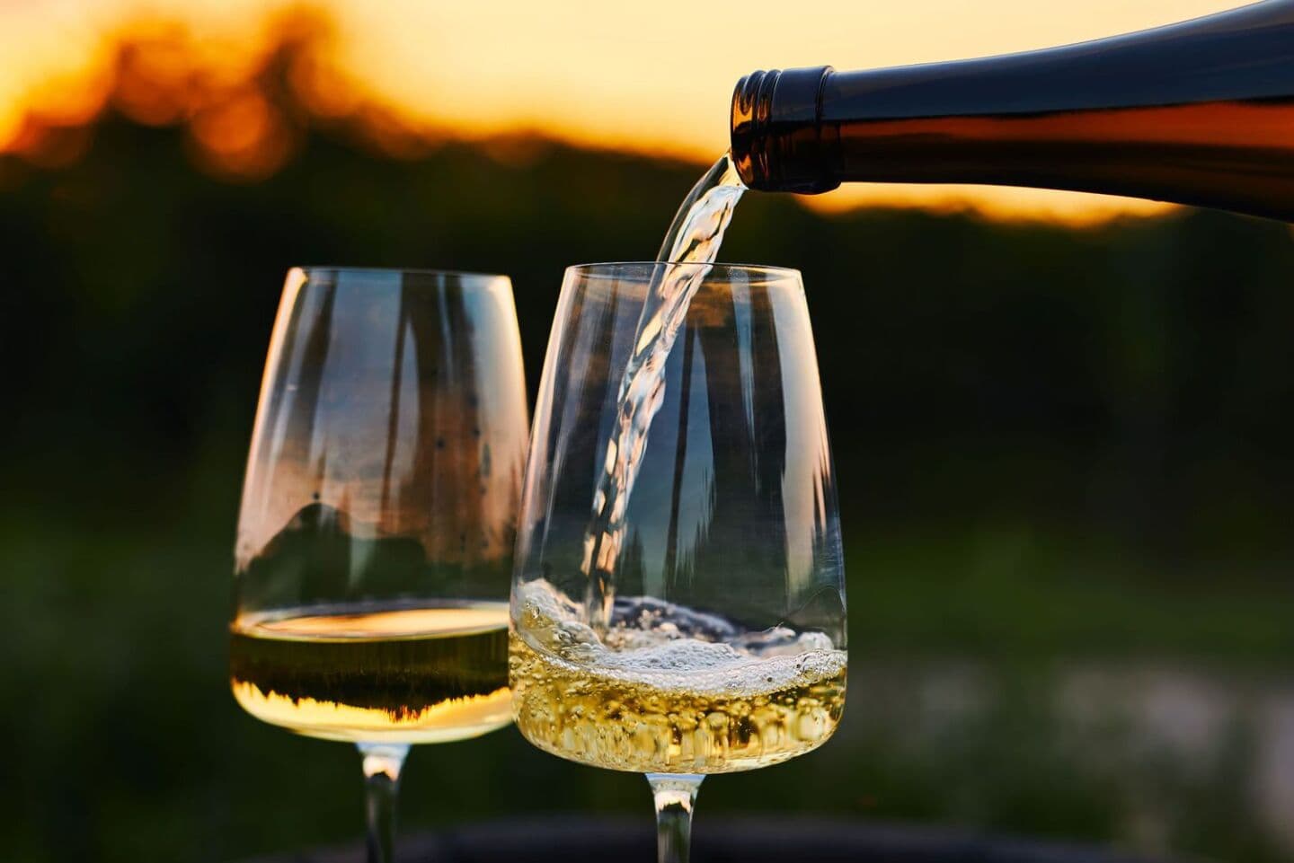 Chardonnay, image 1 of 1