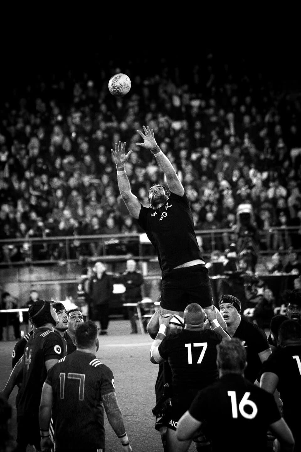 RDS Arena, image 1 of 1
