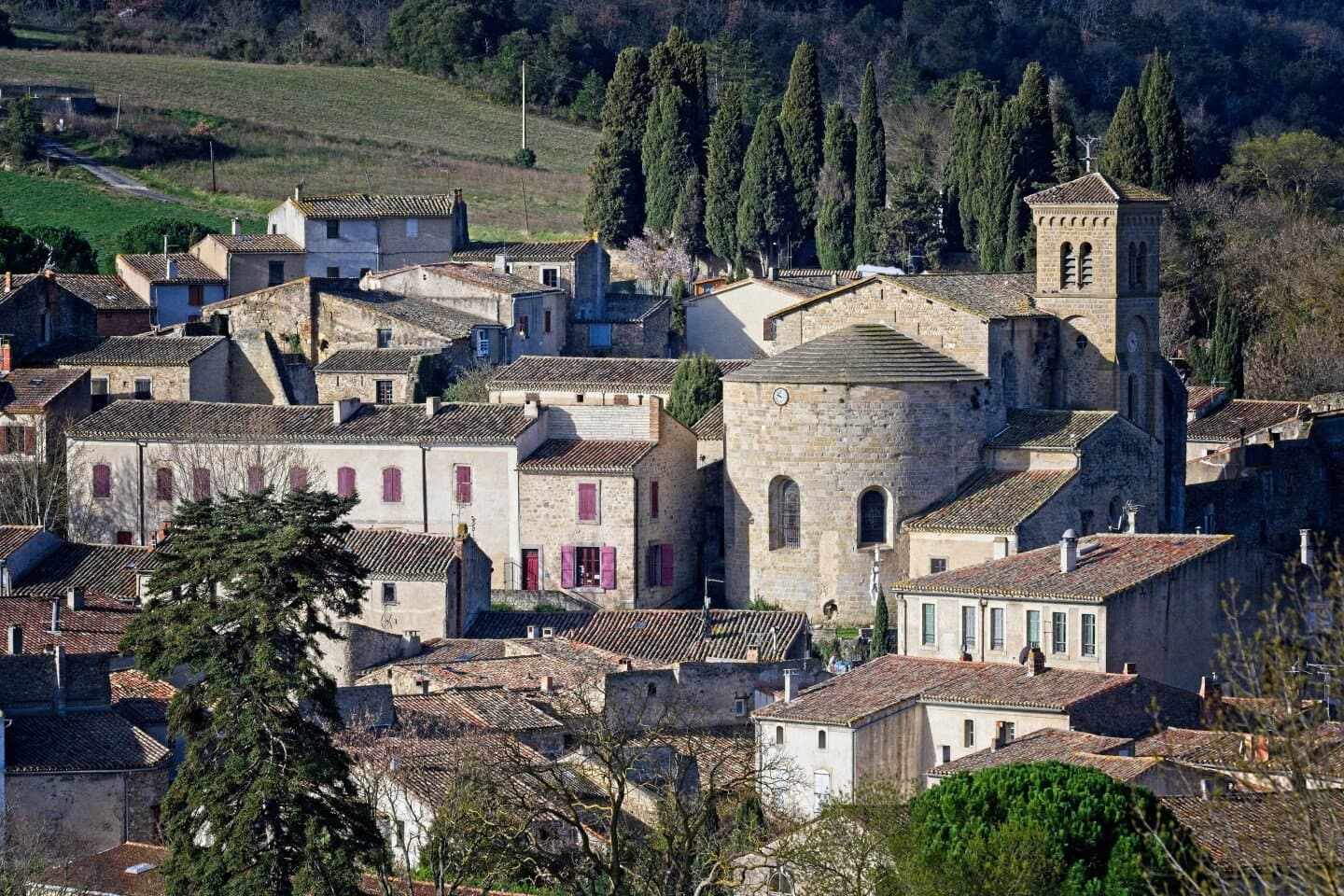 Tonino, image 1 of 1