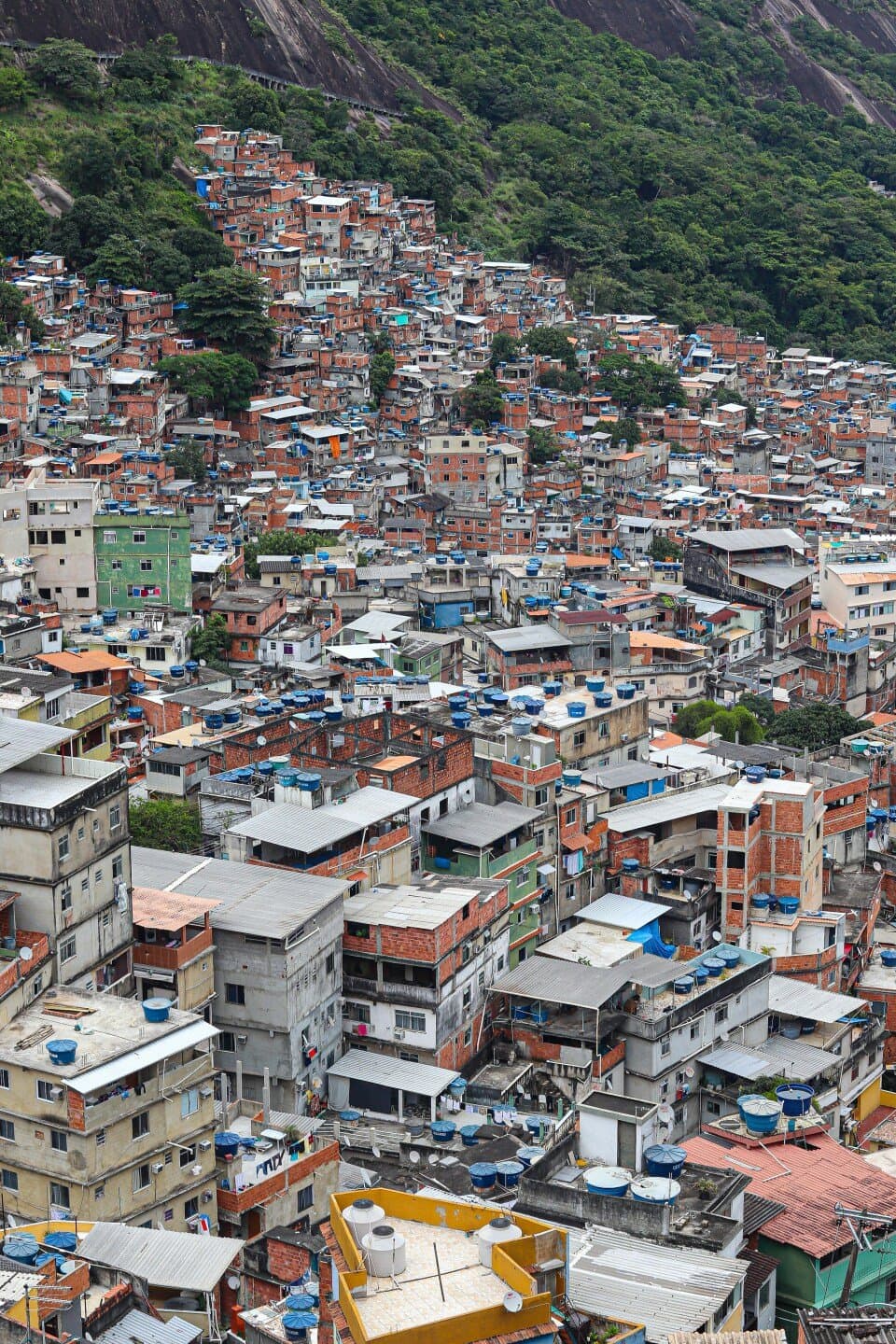 Fighting Crime in Lawless Areas: Evidence from Slums in Rio de Janeiro, image 1 of 1