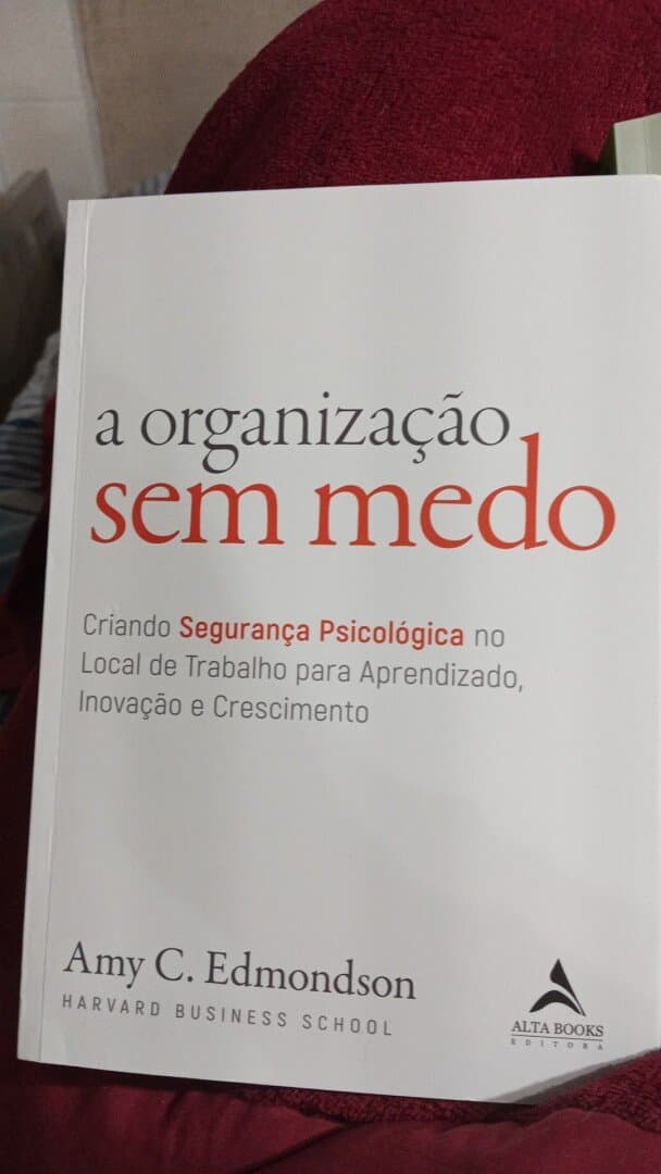 Segurança Psicológica importa, image 1 of 1