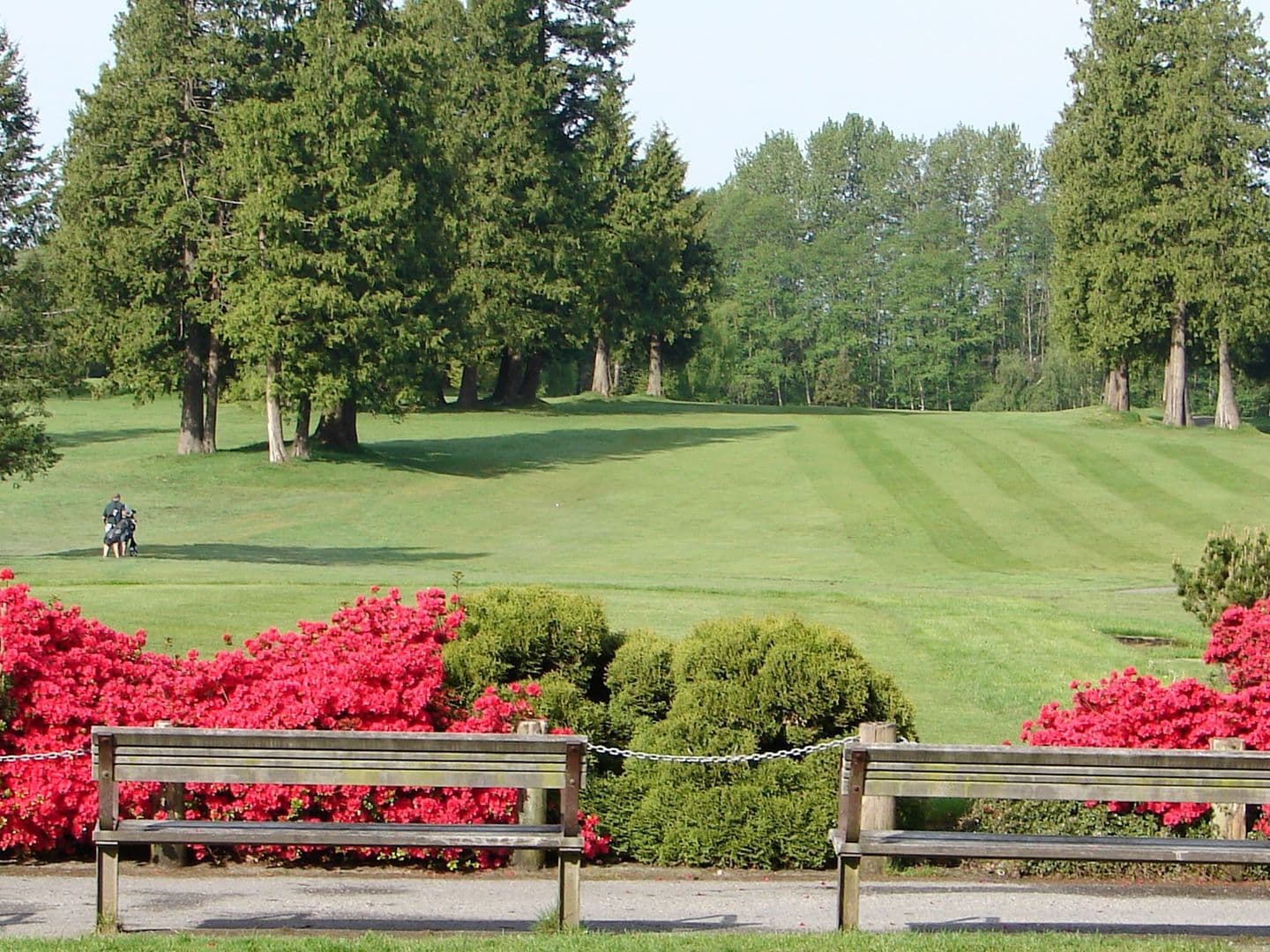 Burnaby Mountain Golf Course, image 1 of 1