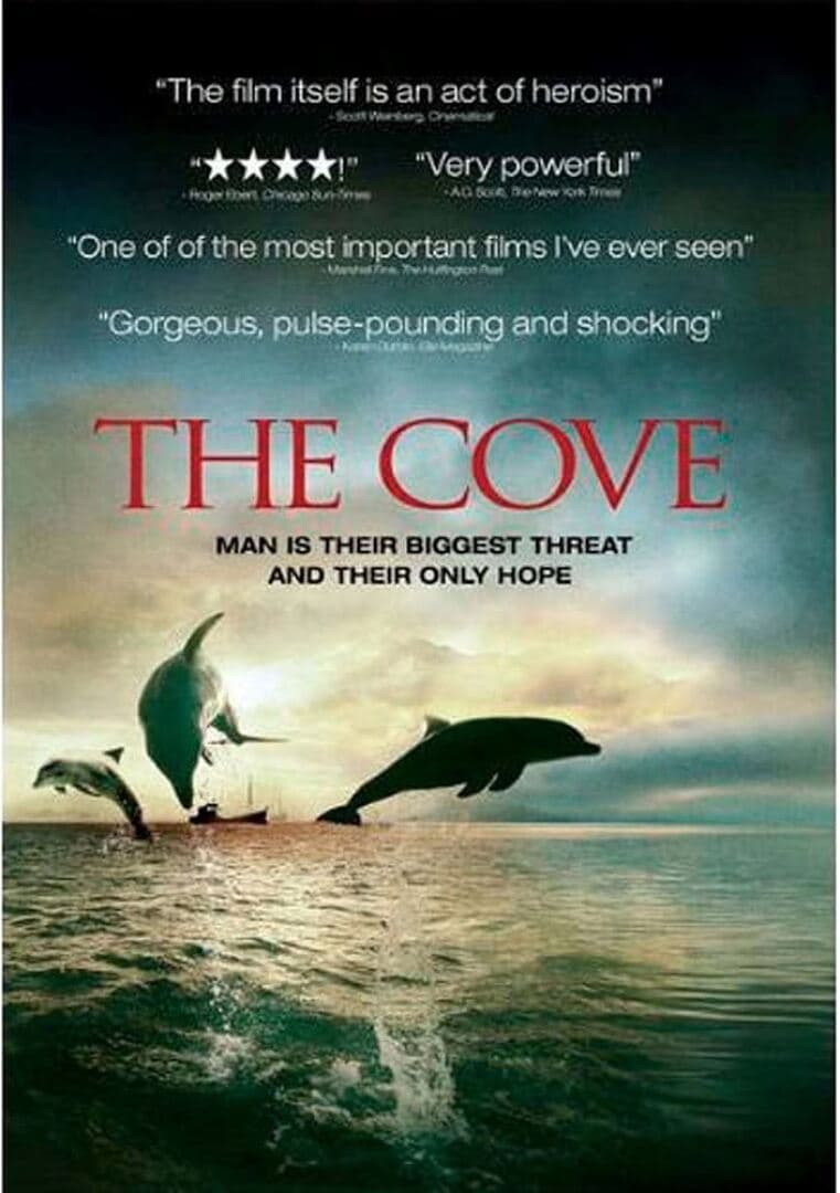 The Cove, image 1 of 1