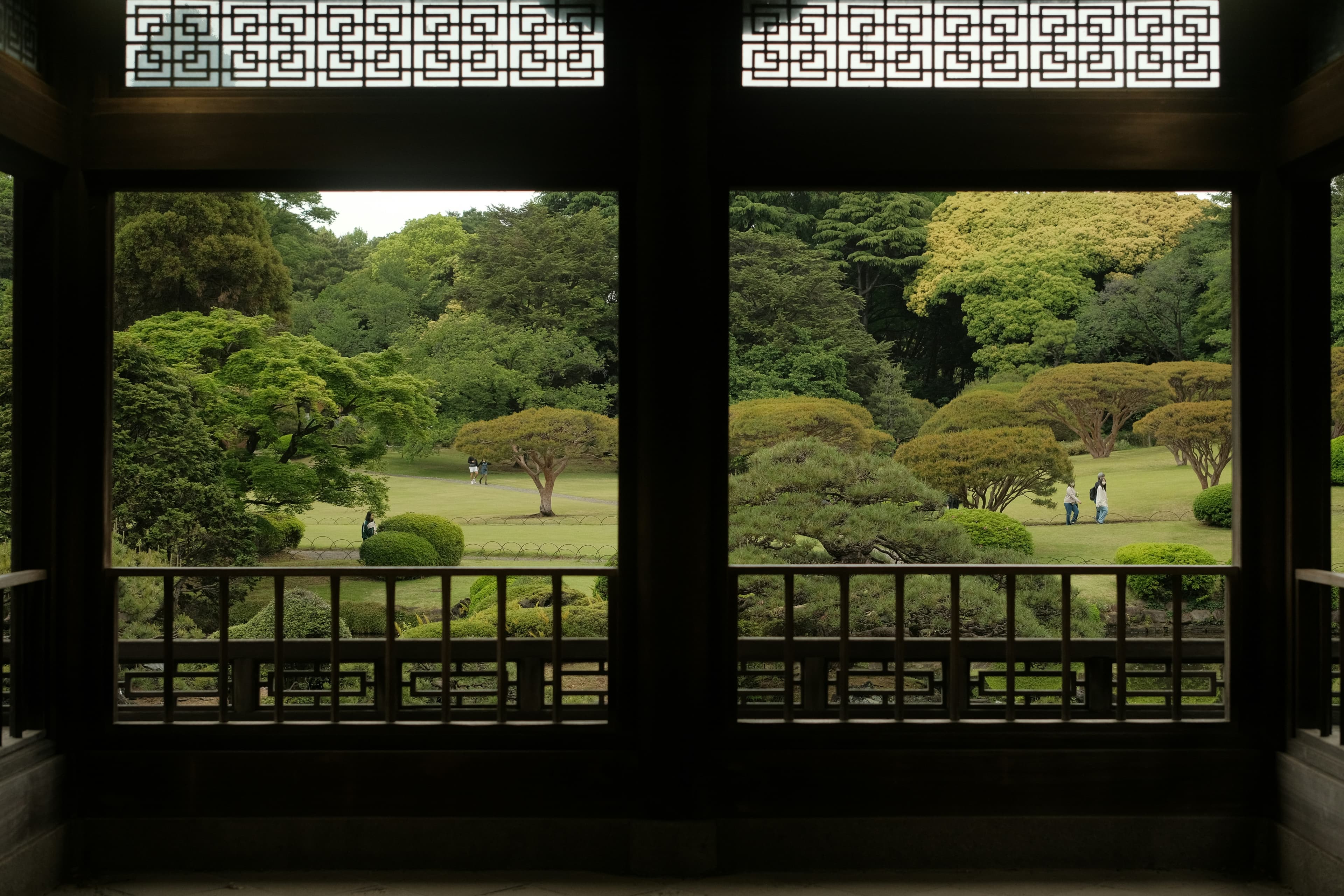KYU, image 1 of 1
