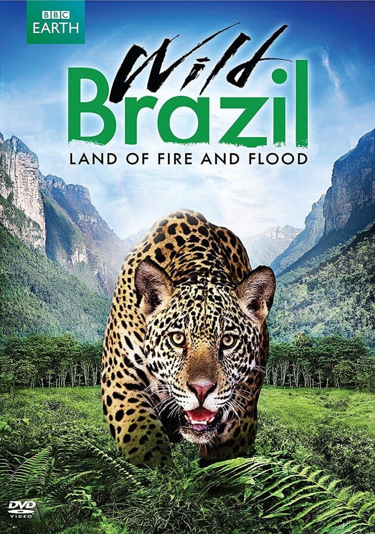 Wild Brazil, image 1 of 1