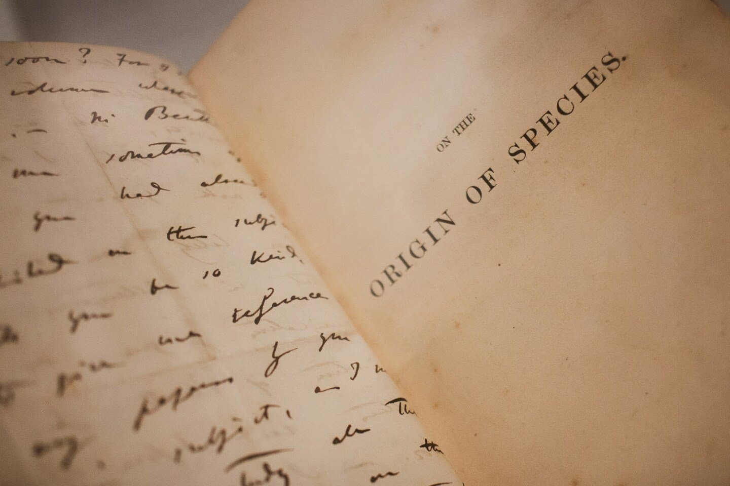 On the Origin of Species (foundational biology reprint studied at Harvard), image 1 of 1