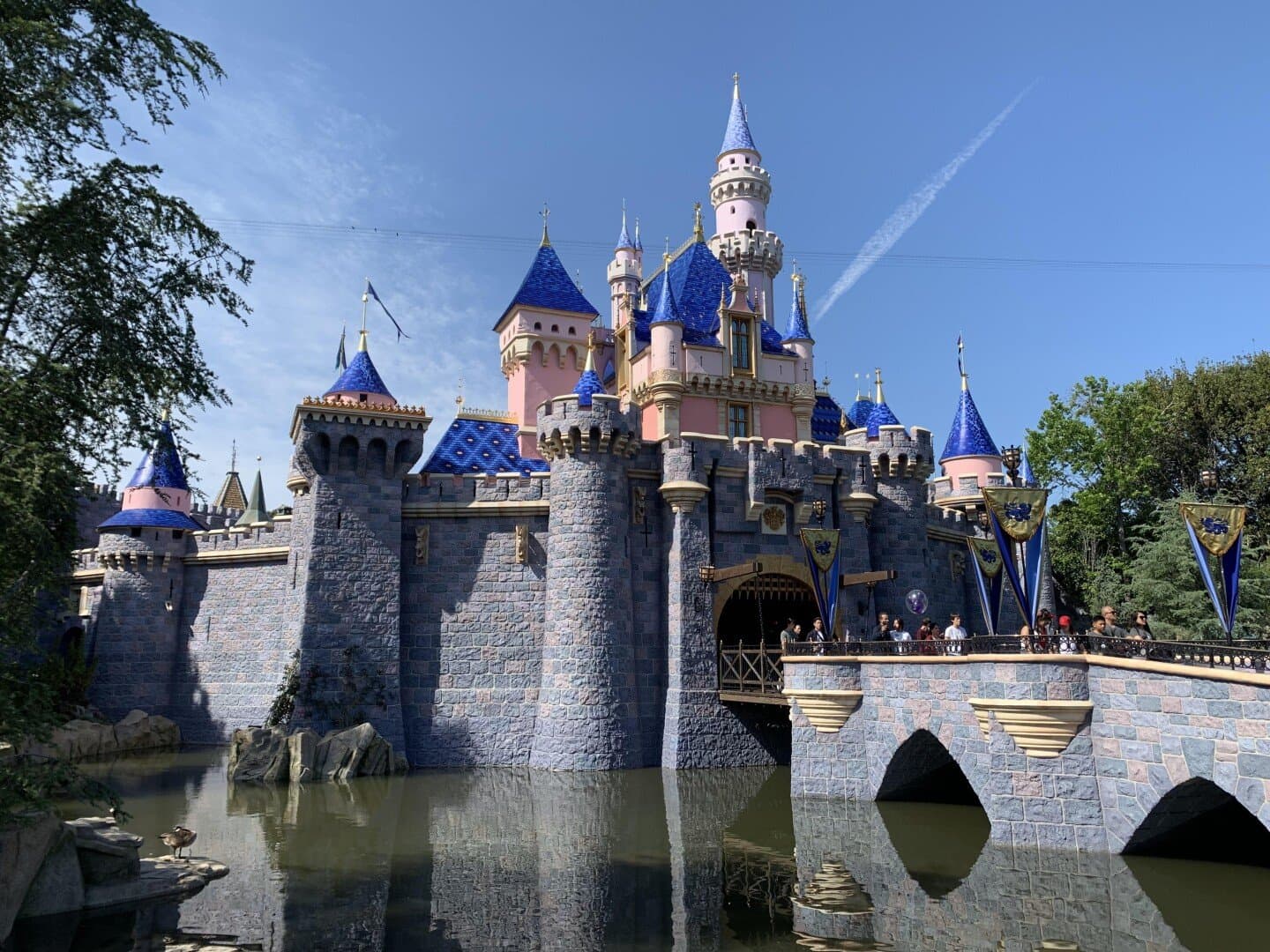 Anaheim, image 1 of 1