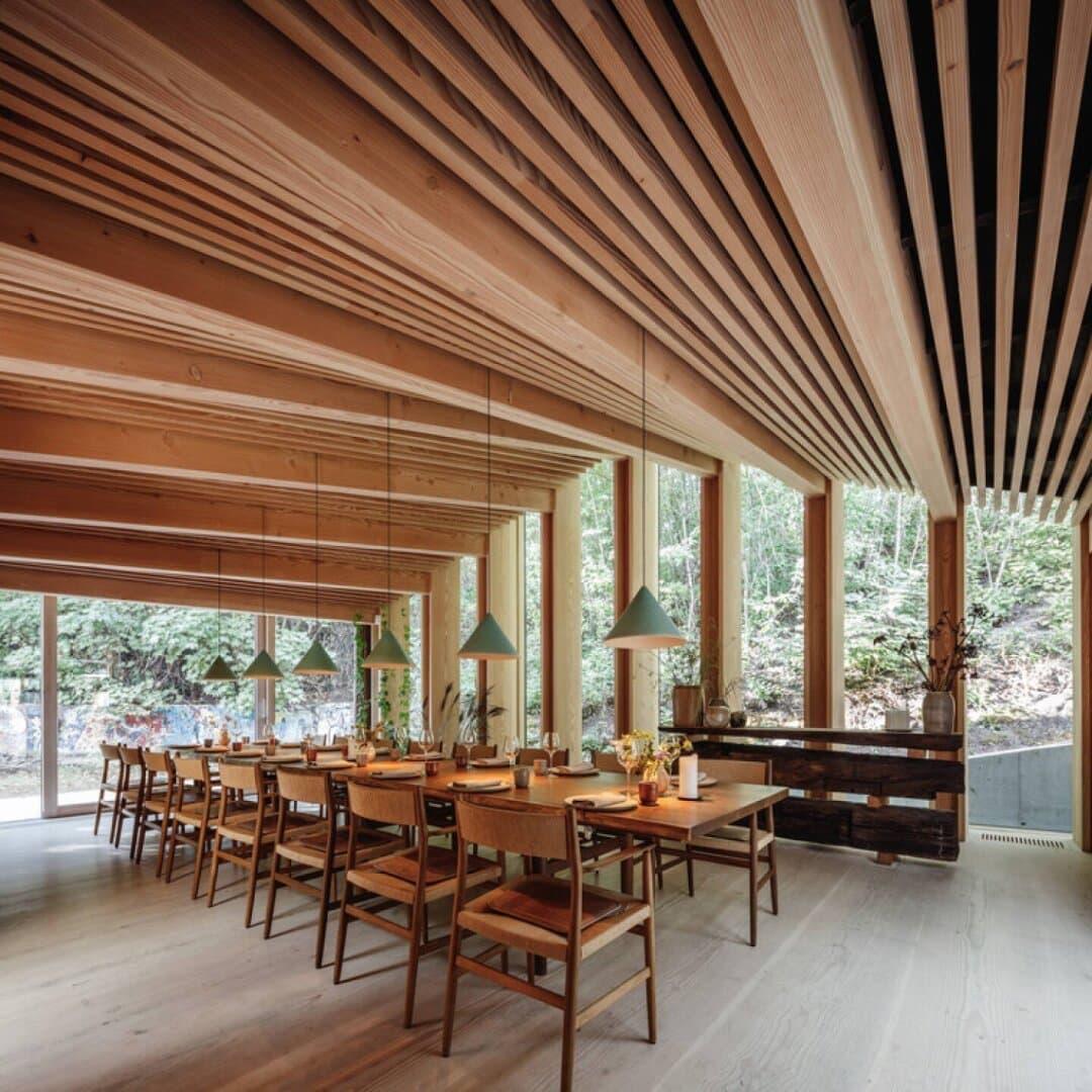 Noma, image 1 of 1