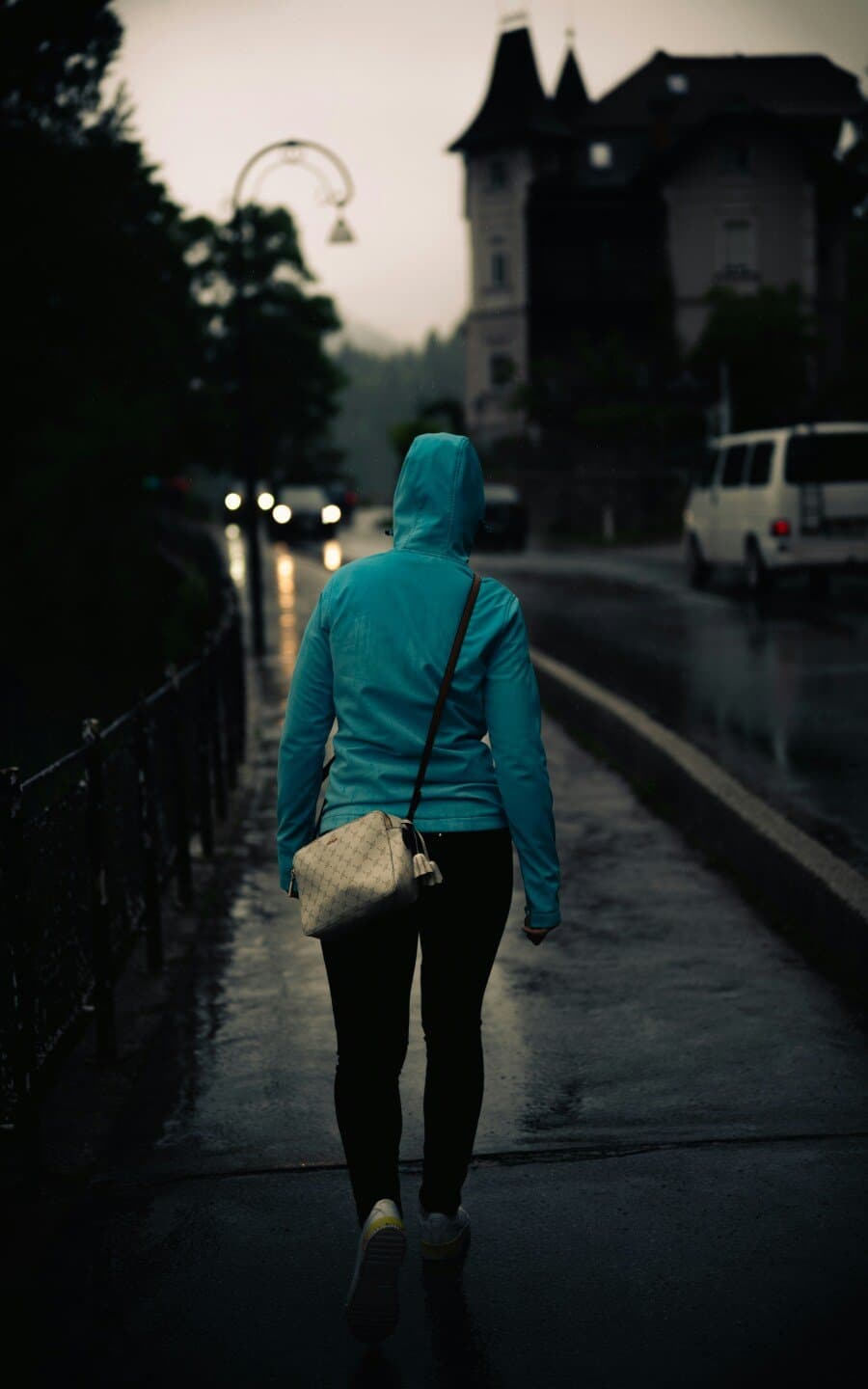 The Given Day, image 1 of 1