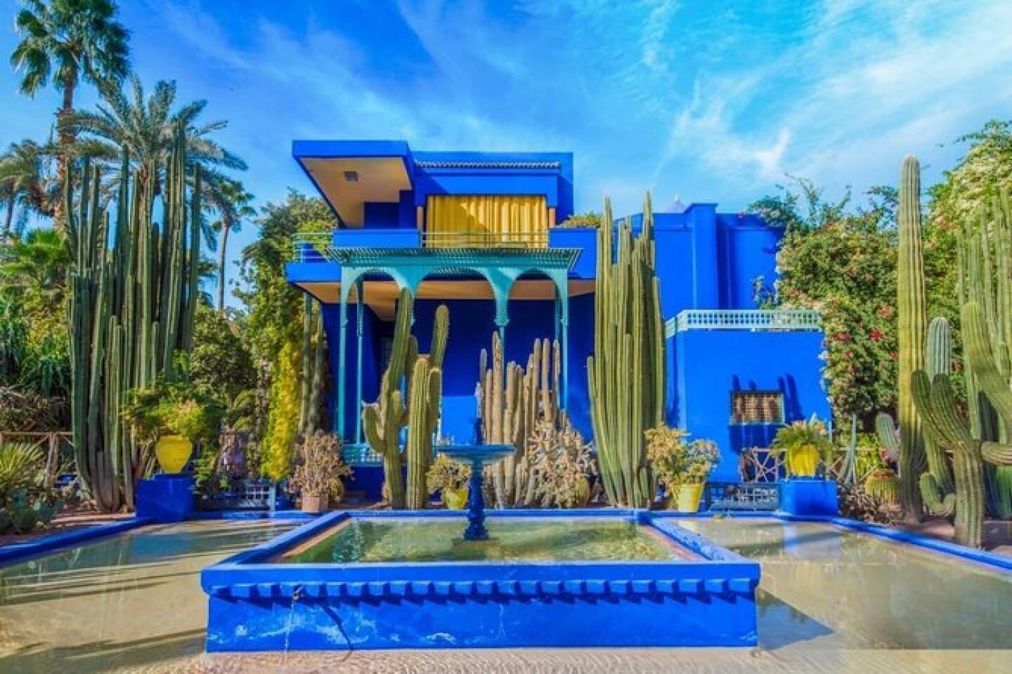 Visit the Majorelle Garden, image 1 of 1