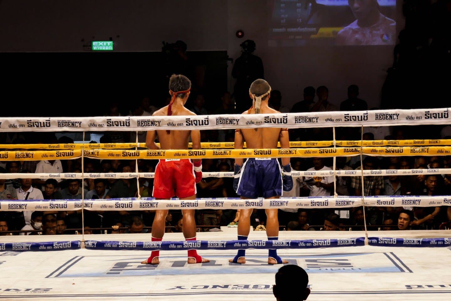 Vs. Manny Pacquiao I (2015), image 1 of 1