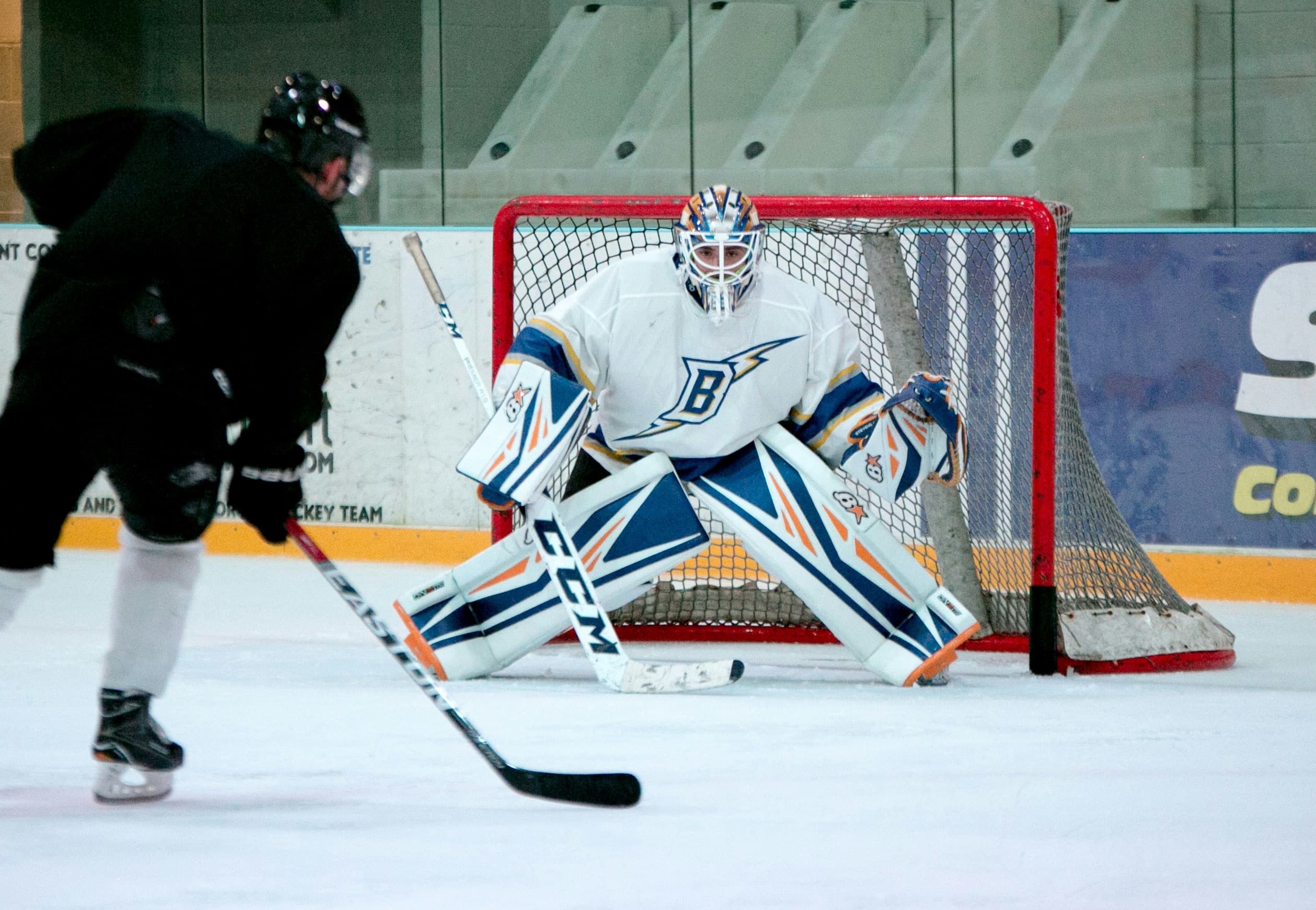 Shot Quality Models and Expected Goals in Ice Hockey, image 1 of 1