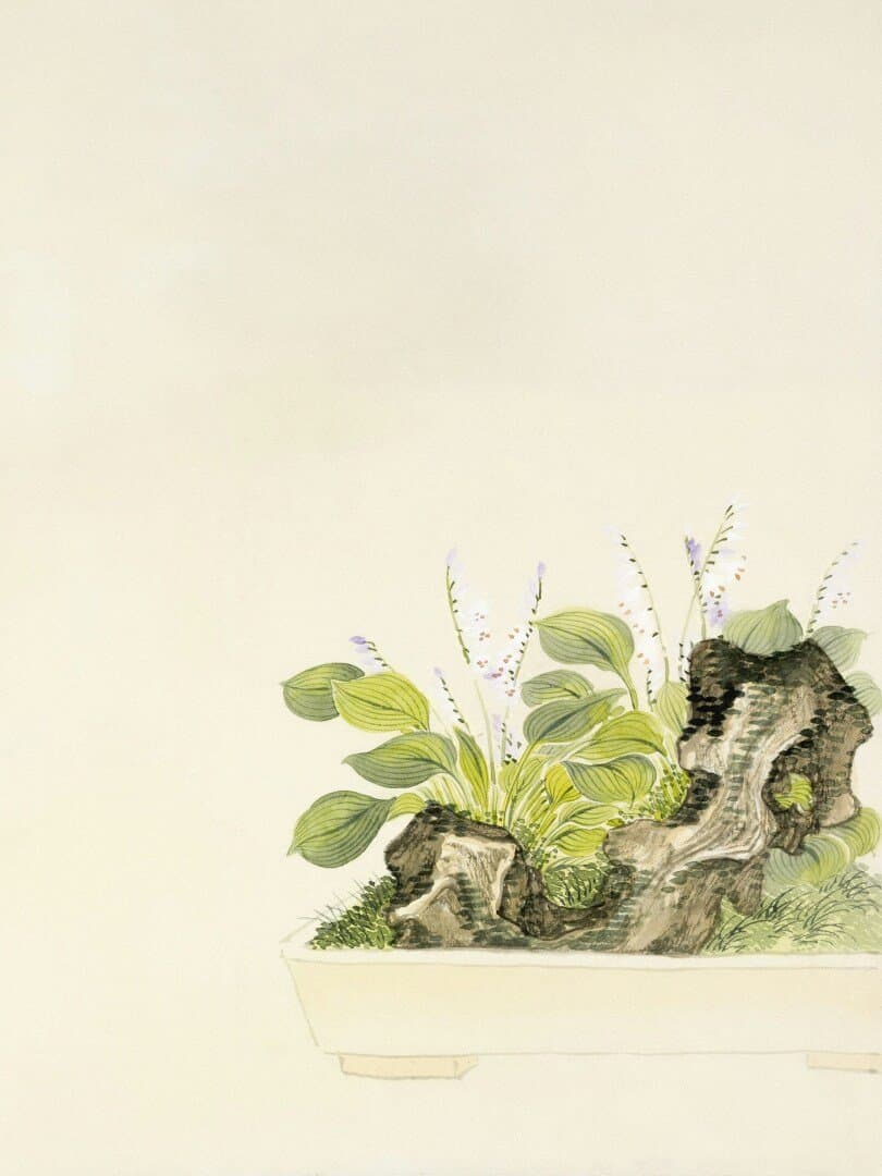 Trevo branco, image 1 of 1