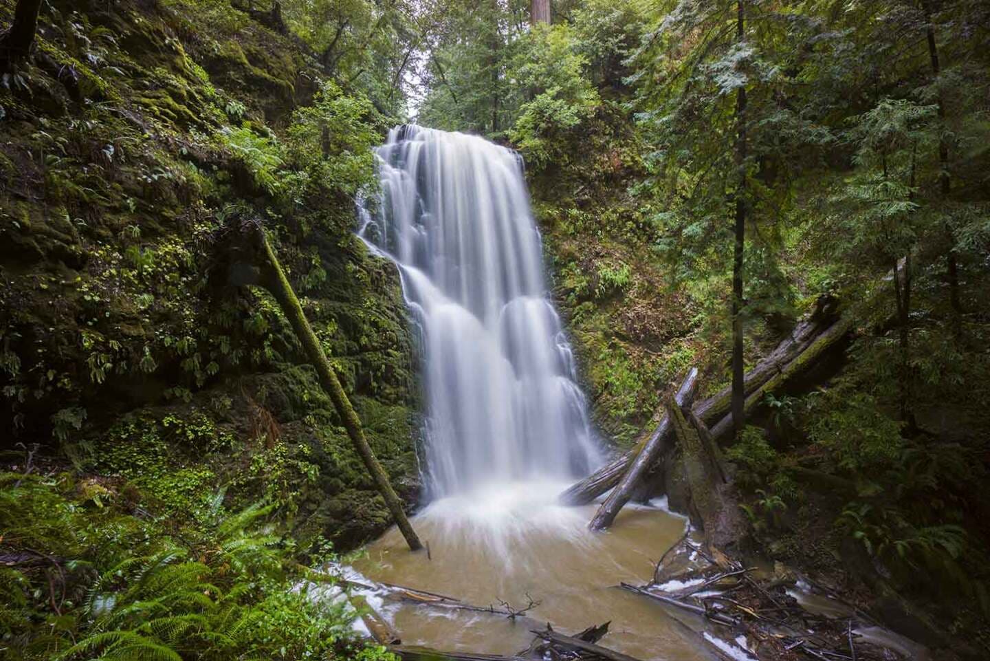 Berry Creek Falls Loop, image 1 of 1