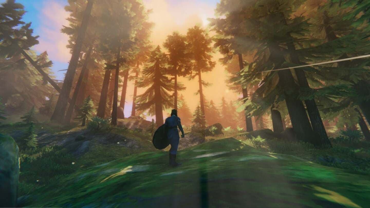 Valheim, image 1 of 1