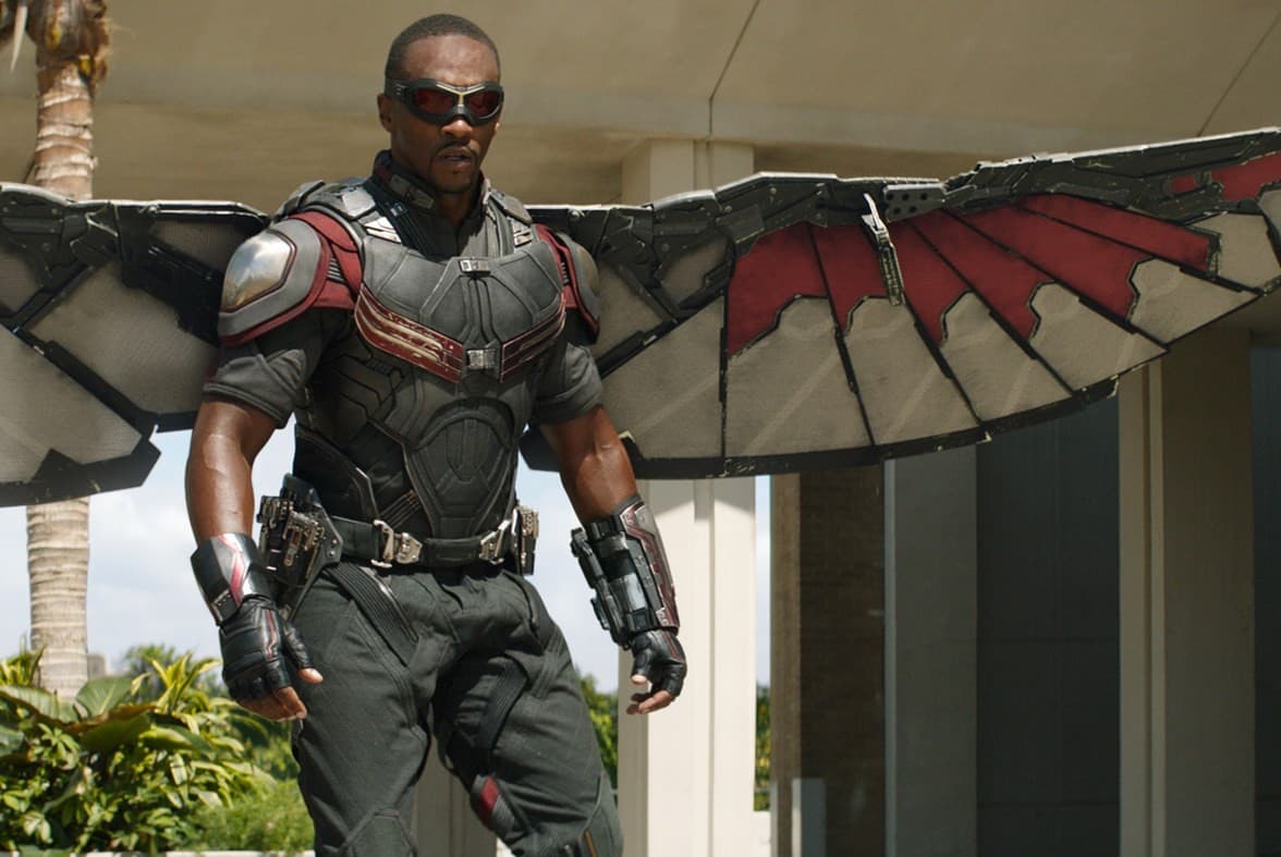 Falcon, image 1 of 1