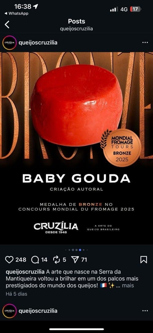 Cruzilia Baby Gouda, image 1 of 1