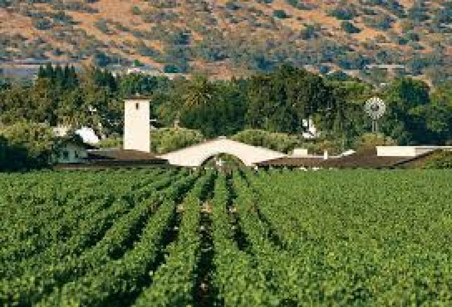 Robert Mondavi Winery, image 1 of 1