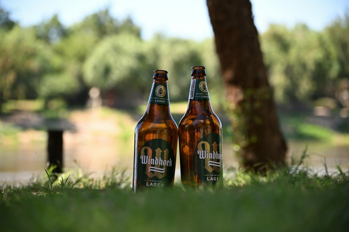 Pivo Pils, image 1 of 1