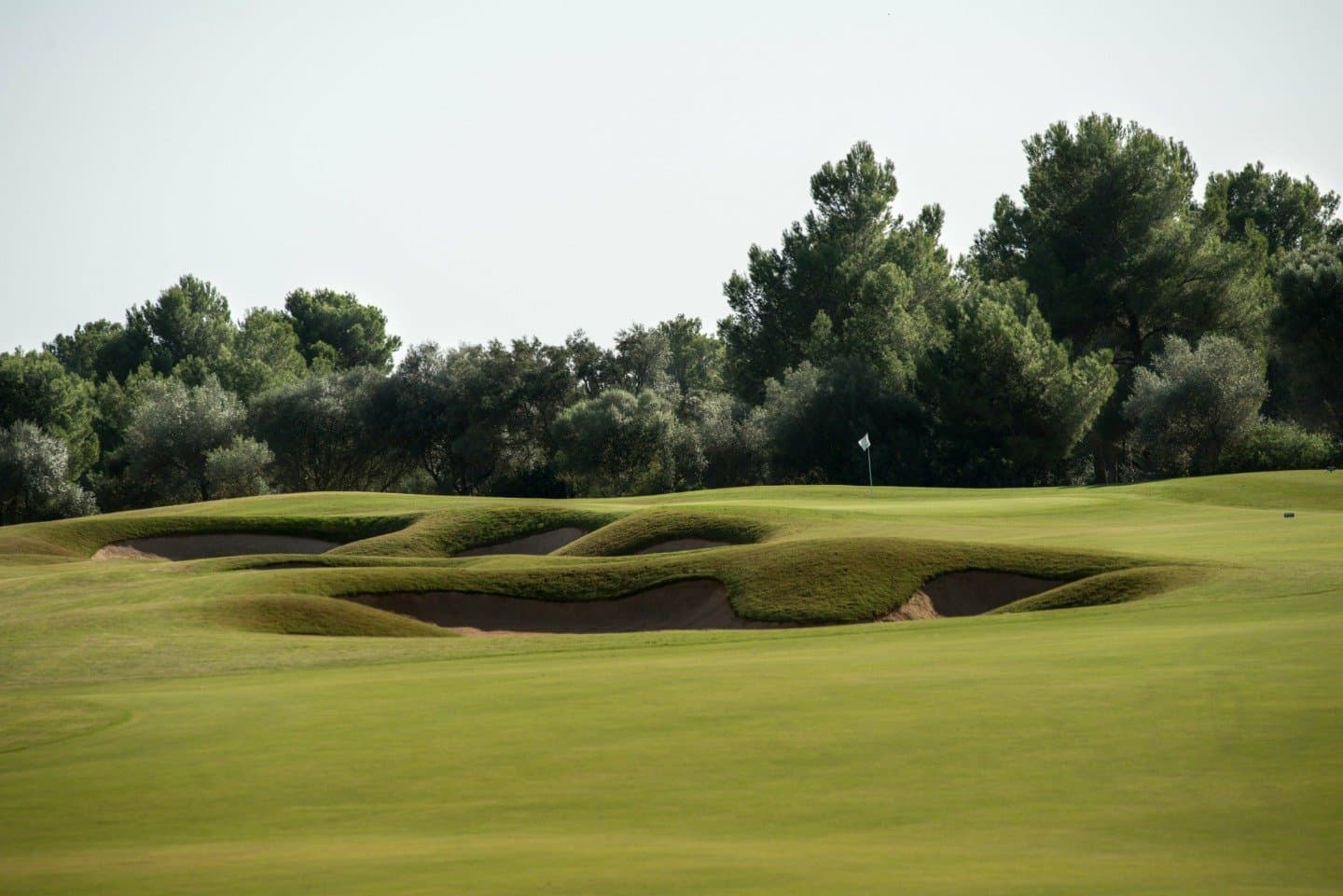 Golf Park Puntiro, image 1 of 1