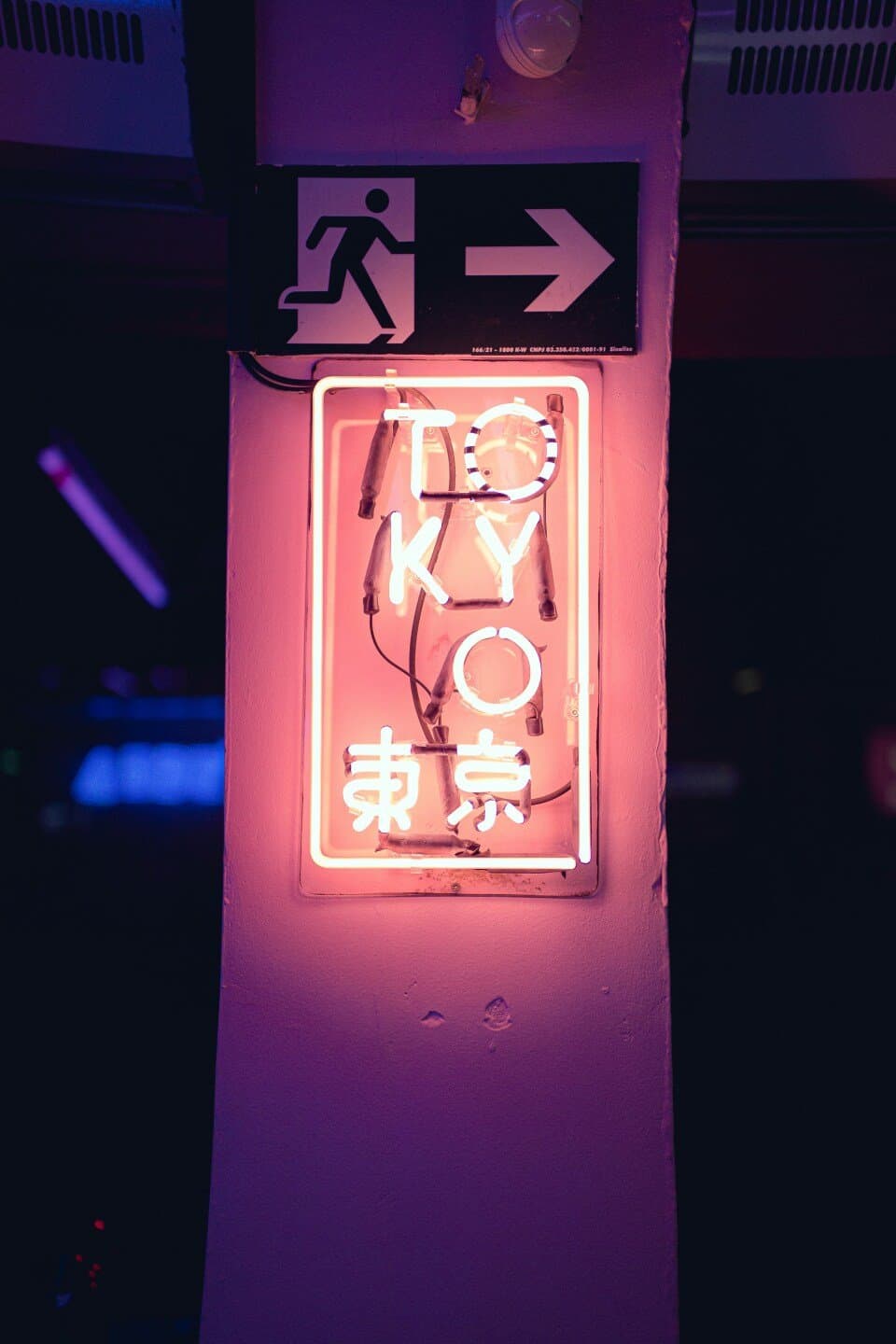 Tokyo, image 1 of 1