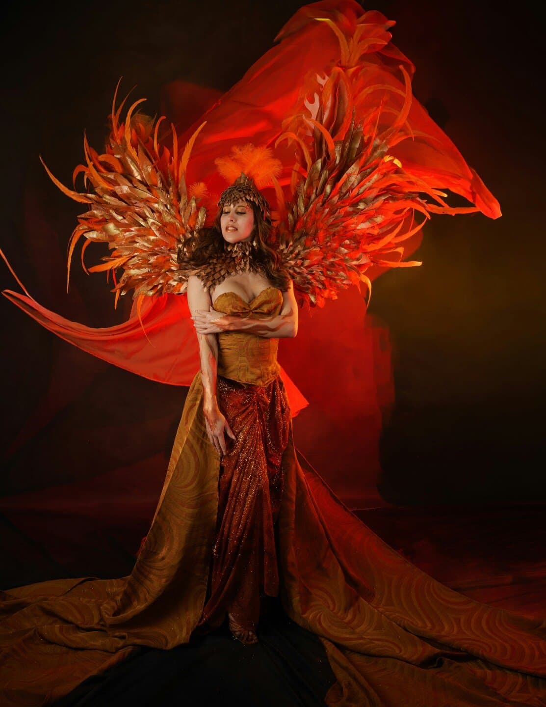 The Phoenix Landing, image 1 of 1