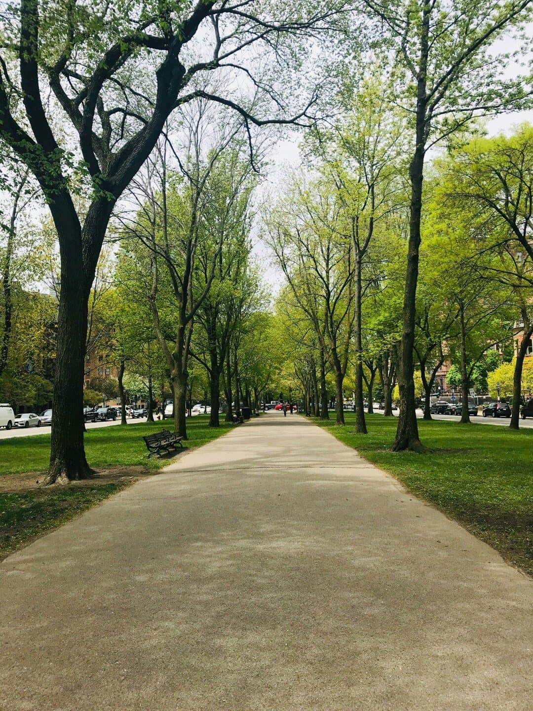 Emerald Necklace, image 1 of 1