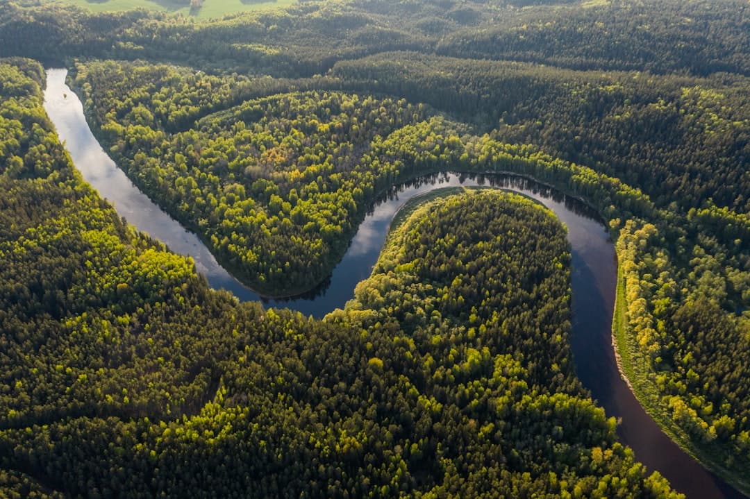 Amazonia, image 1 of 1