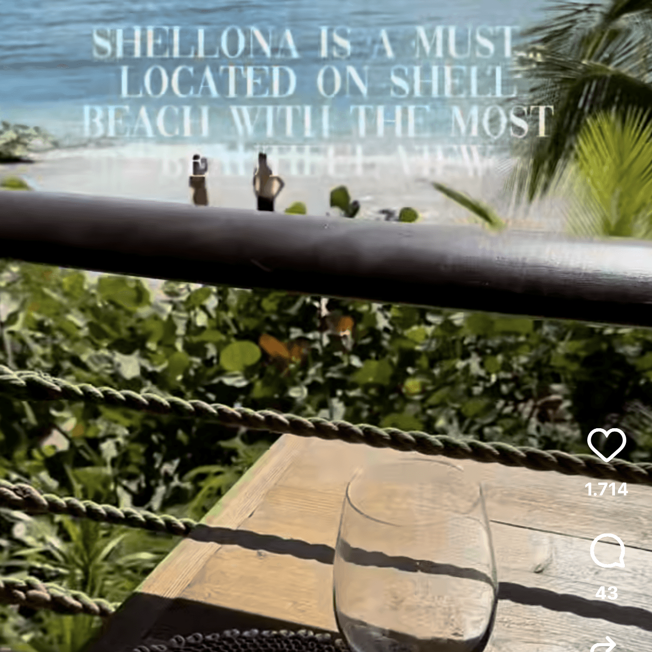 Shellona, image 1 of 1