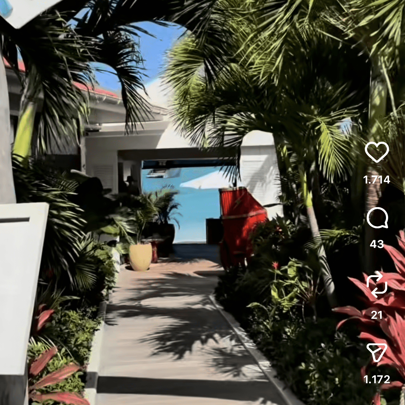 Nikki Beach, image 1 of 1