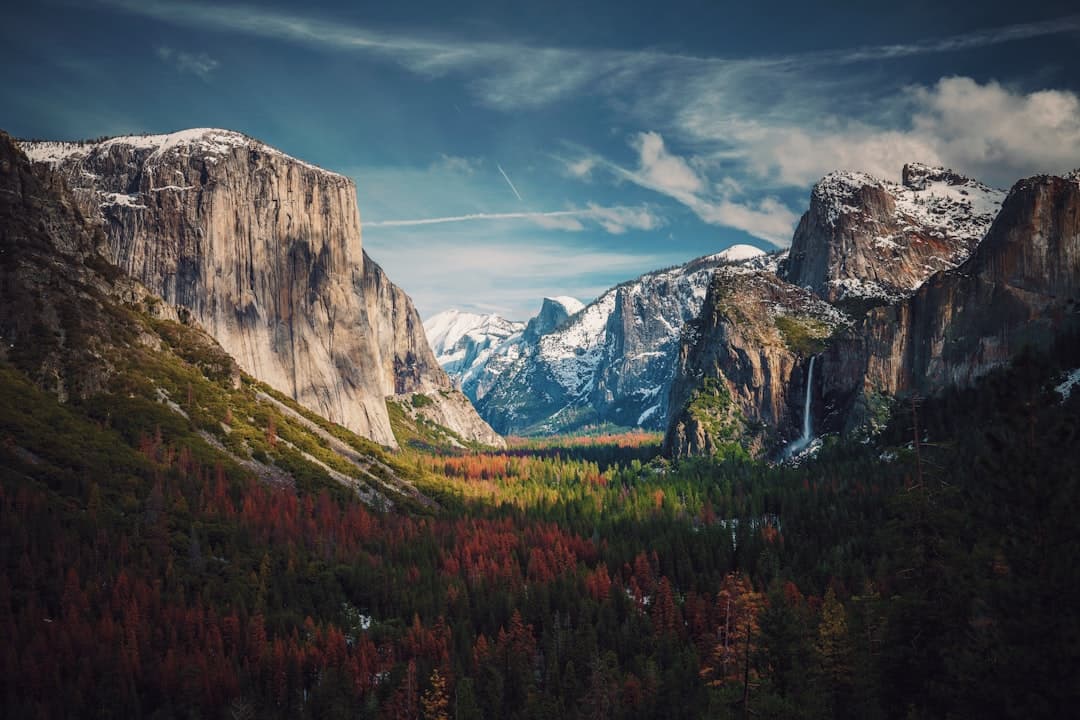 Free Solo - Netflix, image 1 of 1