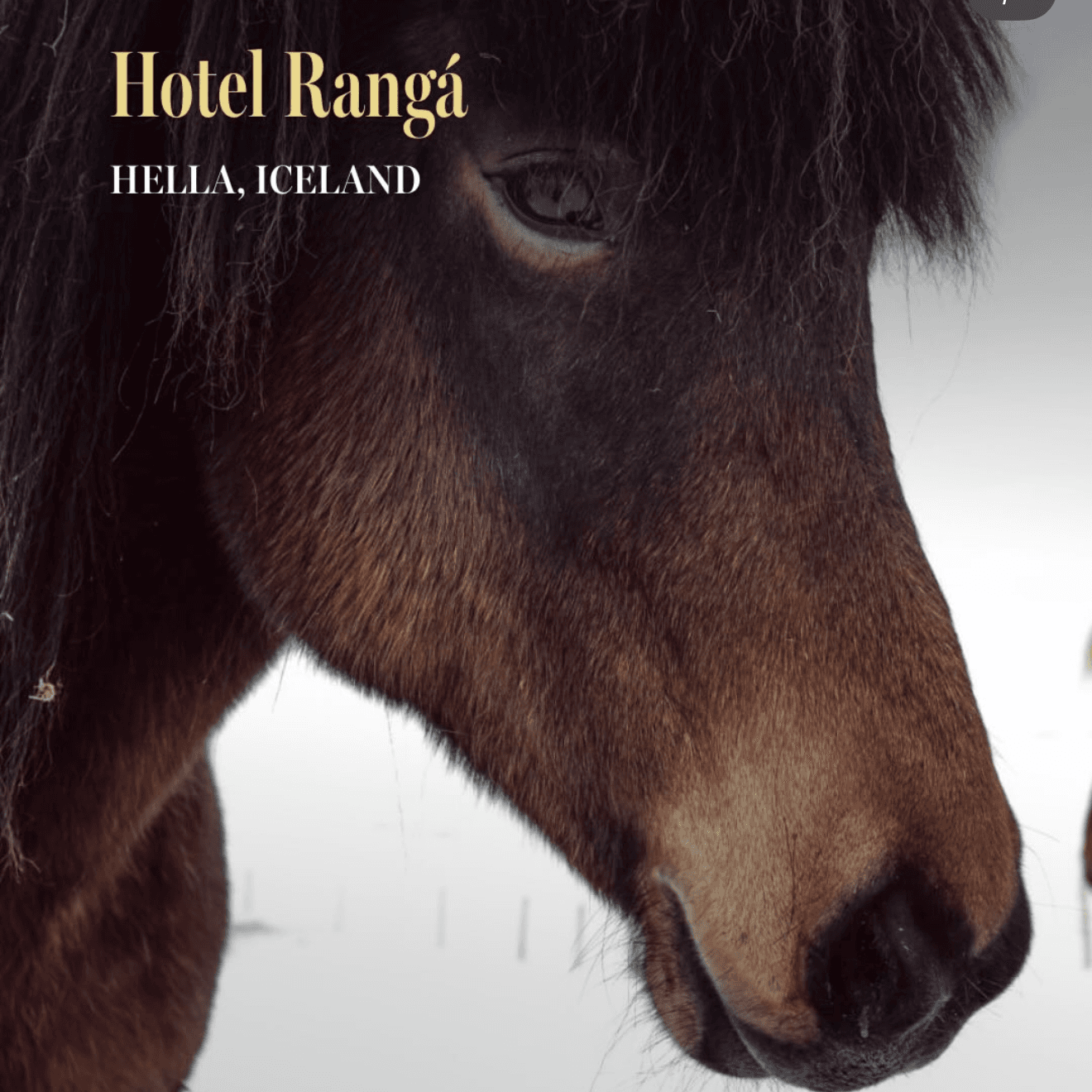 Hotel Ranga, image 1 of 1