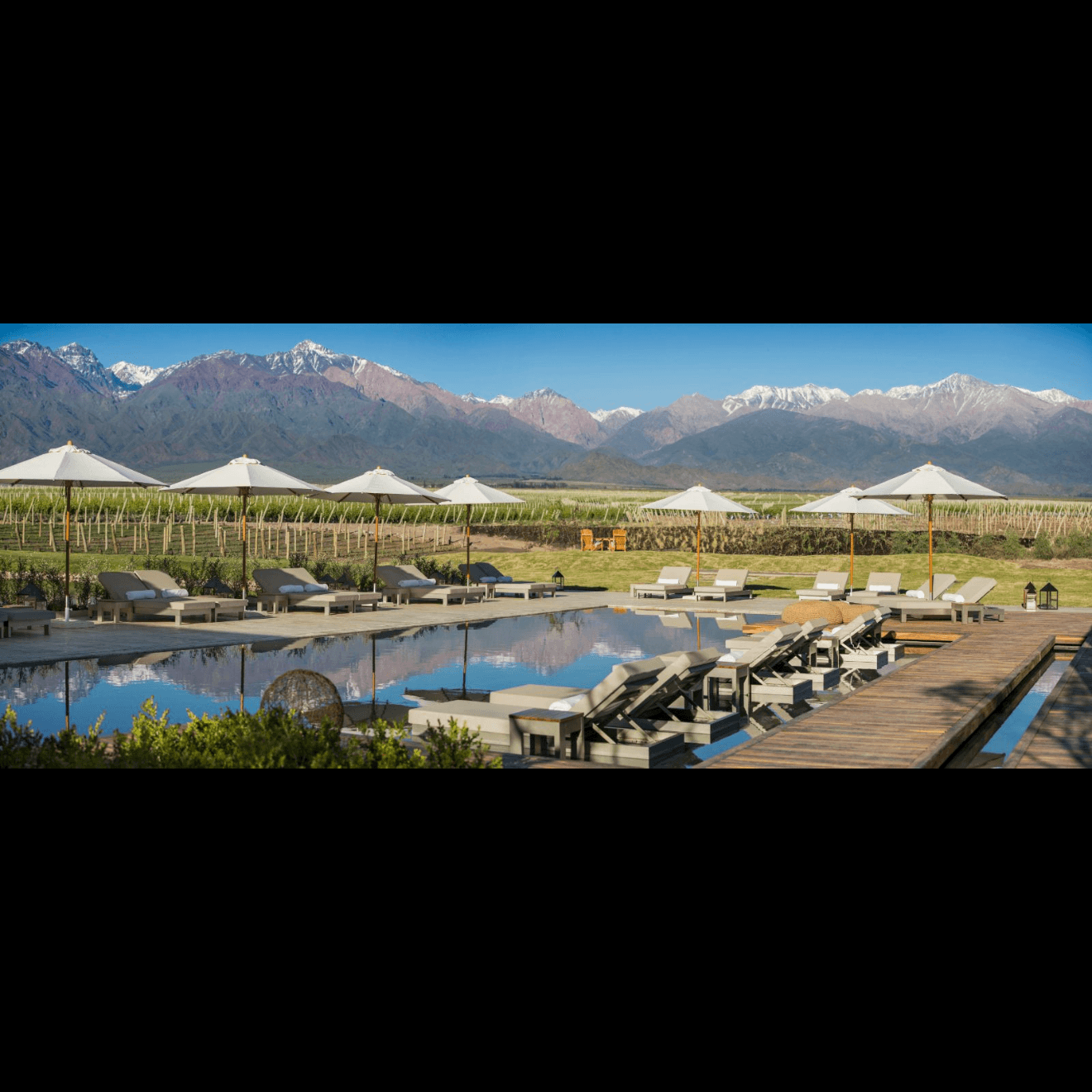 The Vines Mendoza, image 1 of 1