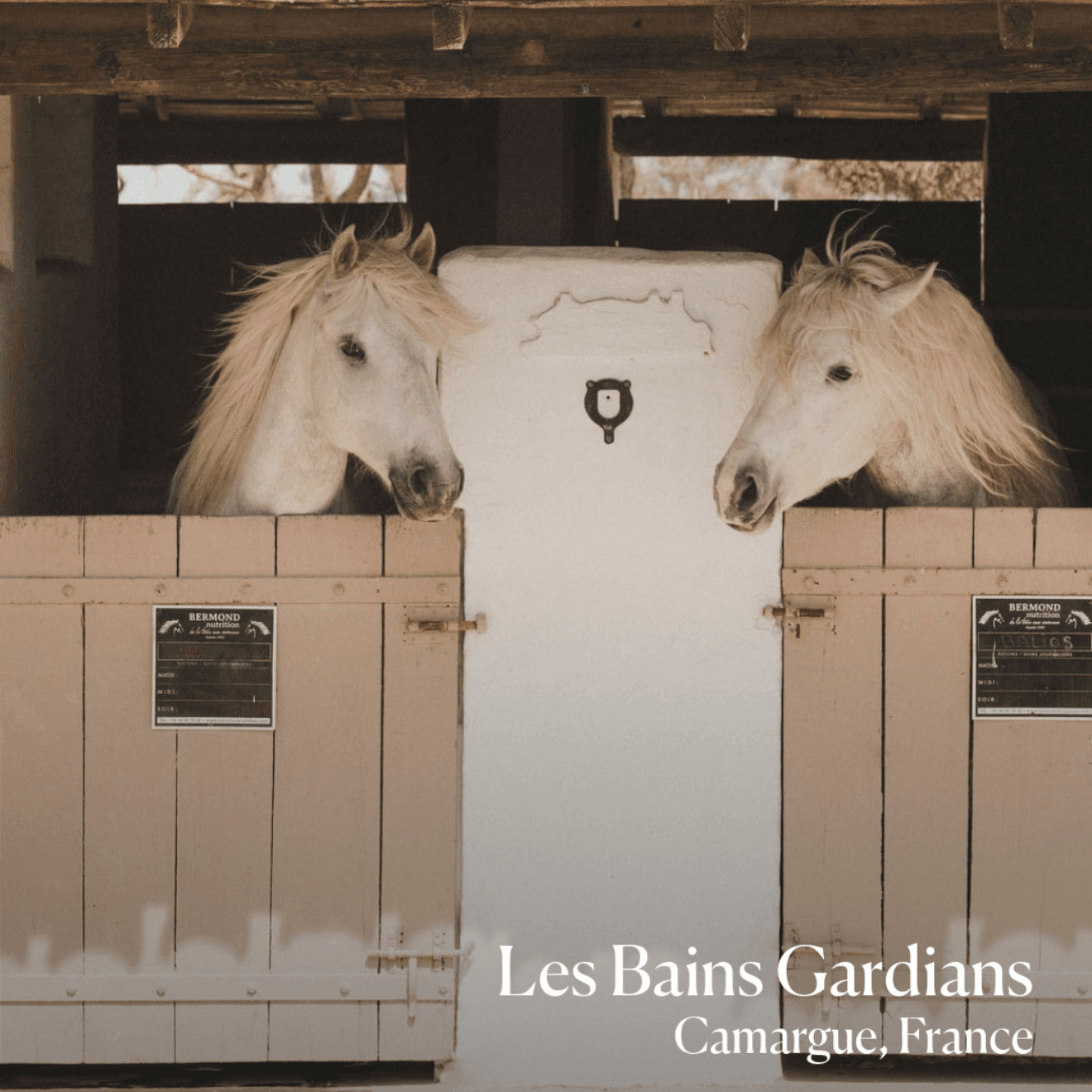 Les Bains Guardians, image 1 of 1