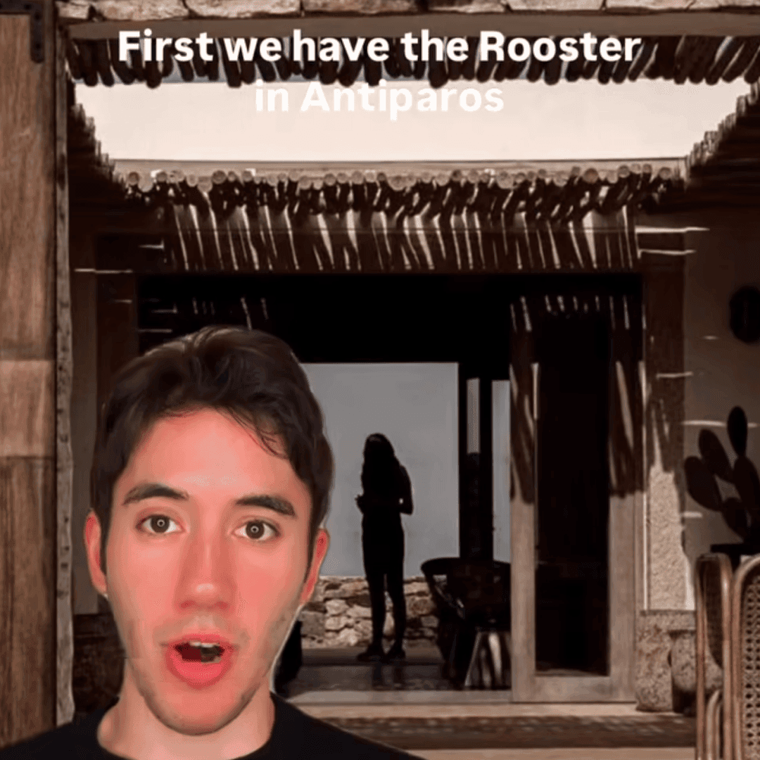 The Rooster, image 1 of 1