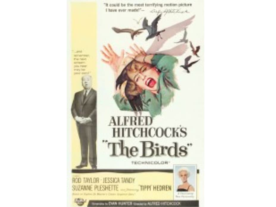 The Birds, image 1 of 1