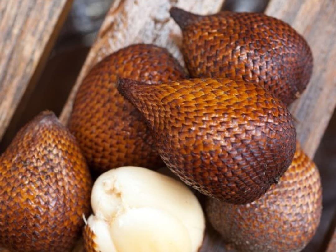 Snakefruit, image 1 of 1