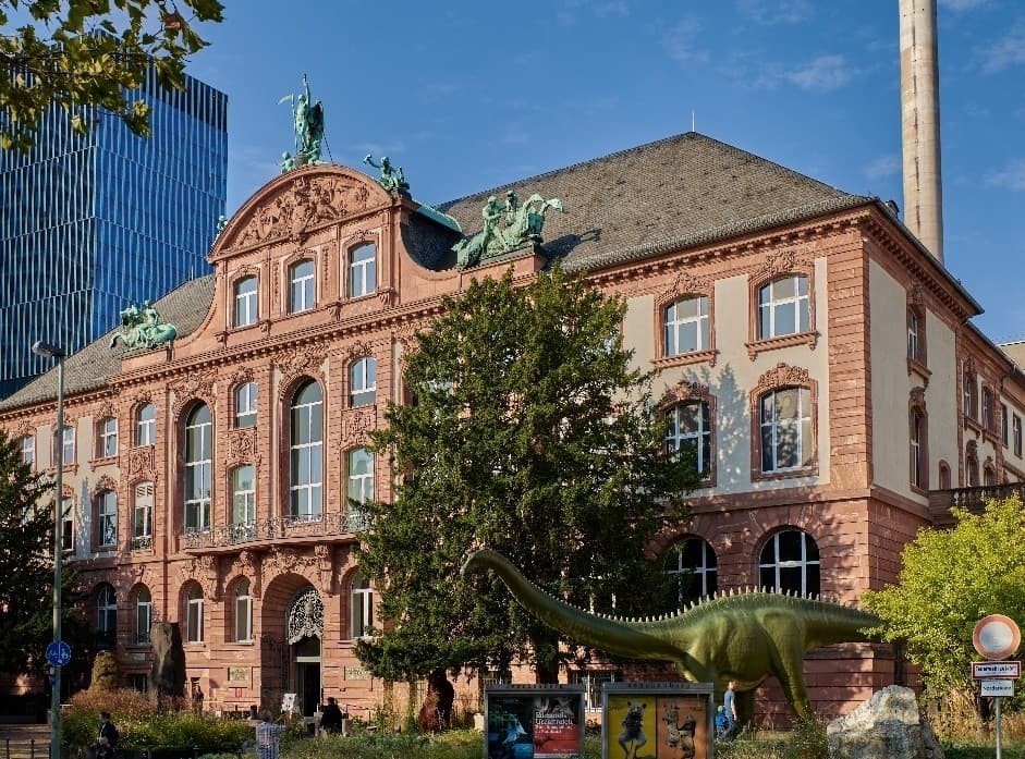 Senckenberg Nature Museum, image 1 of 1