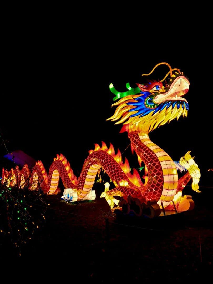 Chinese New Year, image 1 of 1