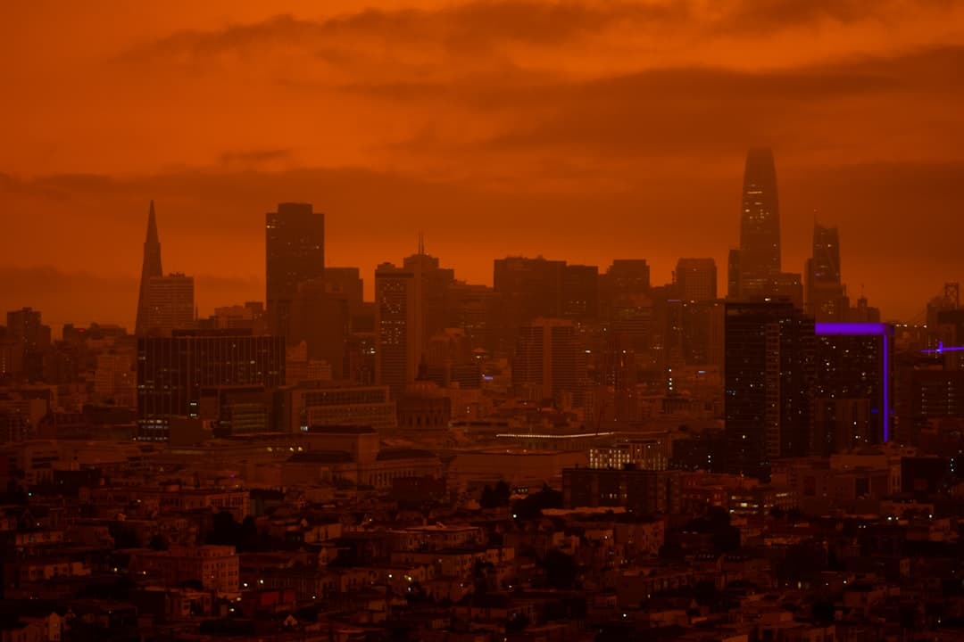 Blade Runner, image 1 of 1